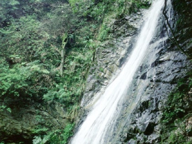 ���̑�L�����v��̎ʐ^1