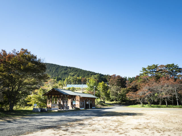 ��{�����L�����v��