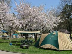 ��̗��ӂꂠ���̐X�̎ʐ^1