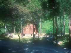 県民の森キャンプ場の写真1