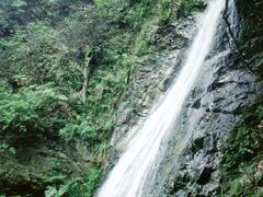 ���̑�L�����v��̎ʐ^1