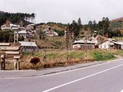 �����Ύ��R�����̎ʐ^1