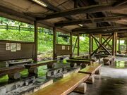 ���c���X�ь����̎ʐ^2