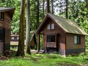 ���c���X�ь����̎ʐ^3