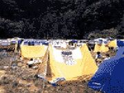 �΂̋x�ɑ��E���L�����v��̎ʐ^1