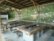 �Ă�Ă�S�[���Ԑ�̎ʐ^4