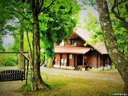 �Ո��L�����v��̎ʐ^1