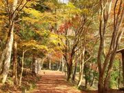 ���̑�L�����v��̎ʐ^3