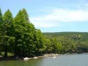 �L�쌴�L�����v��̎ʐ^2