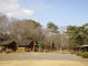 智光山公園野外活動広場の写真1