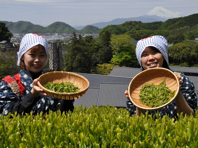 W���E��Y�u�x�m�R�v�Ɓu�B�R���˘F�v�������钃���ł̂����E�ݑ̌�_������ ���˘F���Y�ق���Ȃ�