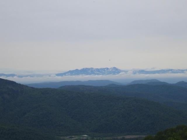 �O���R�i�R�����j_�O���R