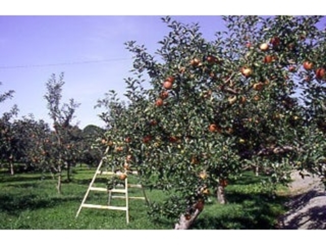 ������n��ʎ���