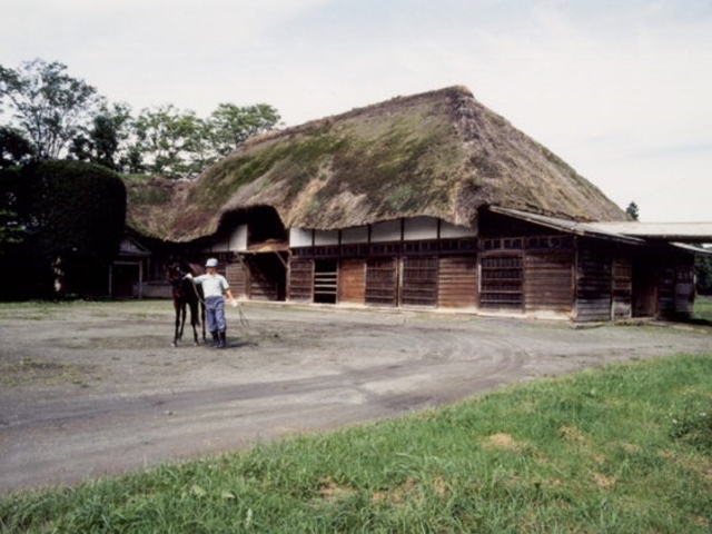 �암�ȉ��̎ʐ^1