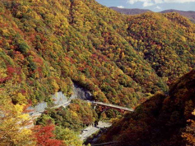 ��l���̎ʐ^1