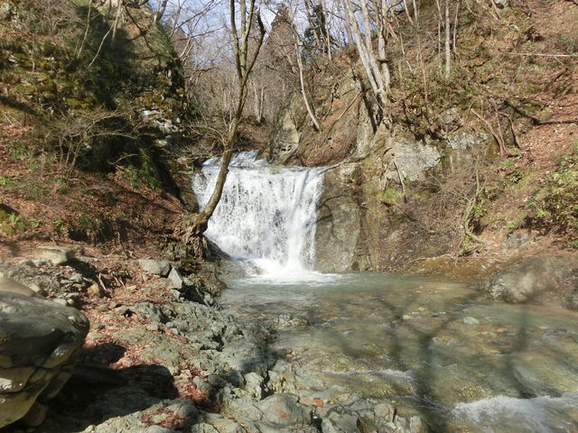 �����̑�