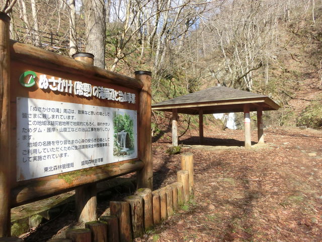 �����̑�