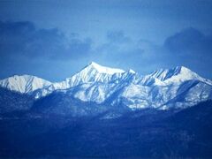 �J���G�N�J�[���̎ʐ^1