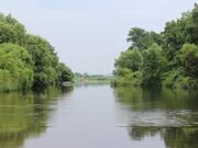 �]�s��̎ʐ^1