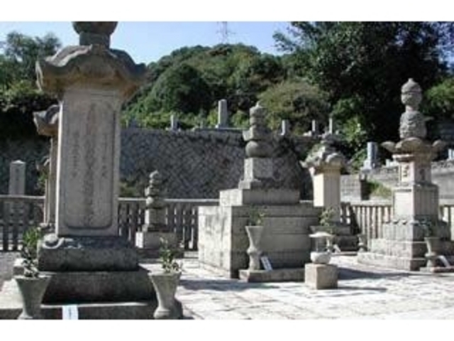 �ї��ƕ揊�i���{�ї��ݑ��j_�ї��ƕ揊�i���{�ї��ݑ��j