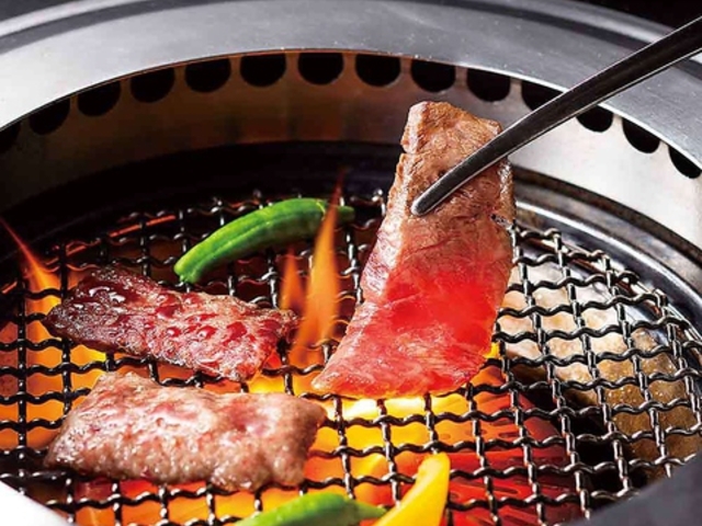 RA_CjO ܍ vUze̎ʐ^1