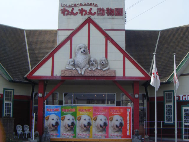 ����񓮕���