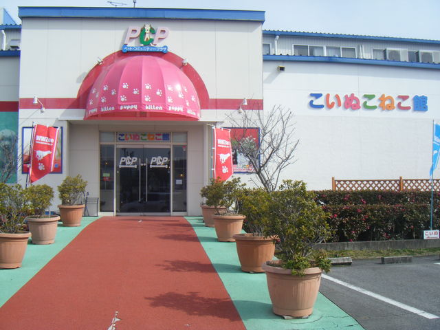 ����񓮕���