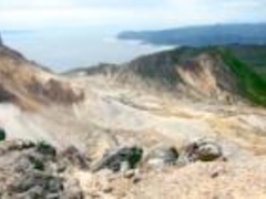 �b�R���R�x�{�т̎ʐ^1