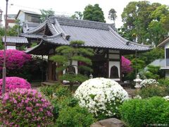 �����Ђ̃c�c�W�̎ʐ^1