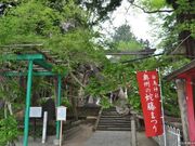 ���B�̎֓��̎ʐ^2