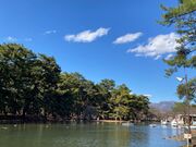 �~���������т̎ʐ^1