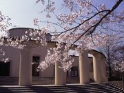 ���������֋L�O�ق̍��E�c�c�W�̎ʐ^1