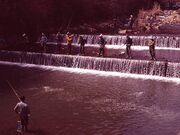 �{��썑�ۂ܂��ޏ�̎ʐ^1