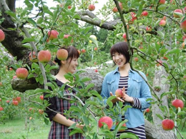 ��񂲎��_��񂲎��