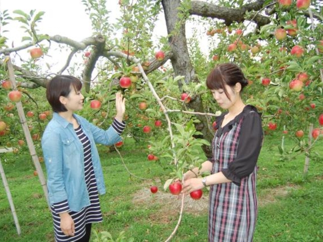 ��񂲎��_��񂲎��