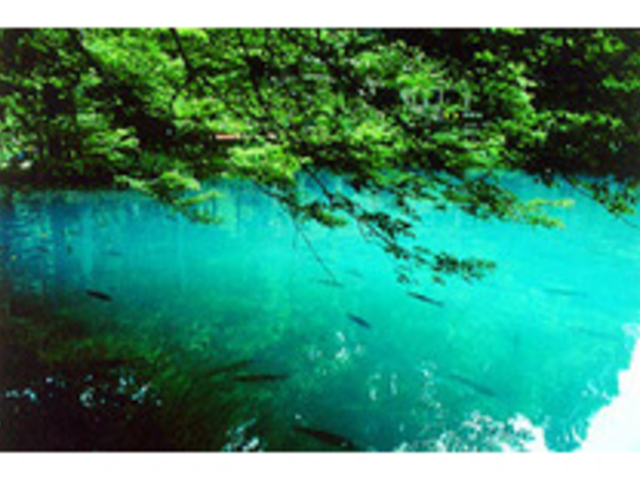 ���ꌧ����{����