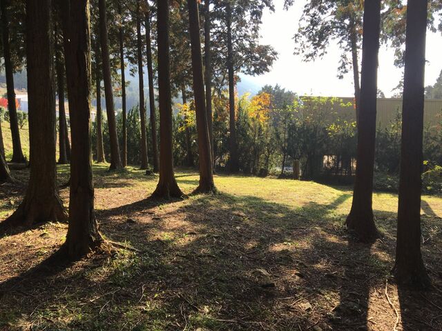 �_�̓m�L�����v��