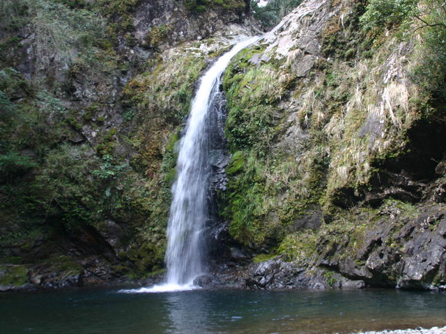 ���q���i