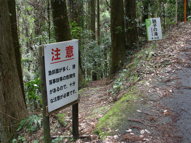 ���q���i