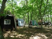 �闢��������O�����Z���^�[�u�ӂꂠ���̗��v�̎ʐ^2