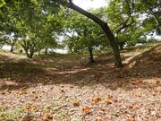 ���ǖ��c�ό����艀�̎ʐ^2