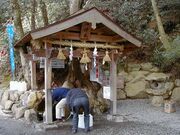 �����q��݂�����̐��̎ʐ^1