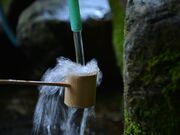 �����q��݂�����̐��̎ʐ^2