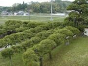 �Ɖ~���̍E�����̎ʐ^1