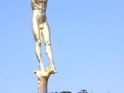 �����Q�̎ʐ^1