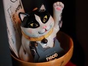 ˂낤 necojiro O̎ʐ^1