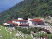 ӂꂠ̉Ɓ@V瑑̎ʐ^1