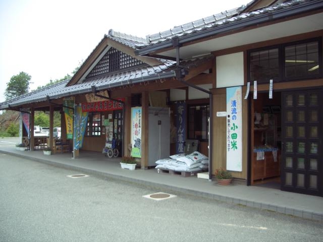 ����������؉��̎ʐ^1