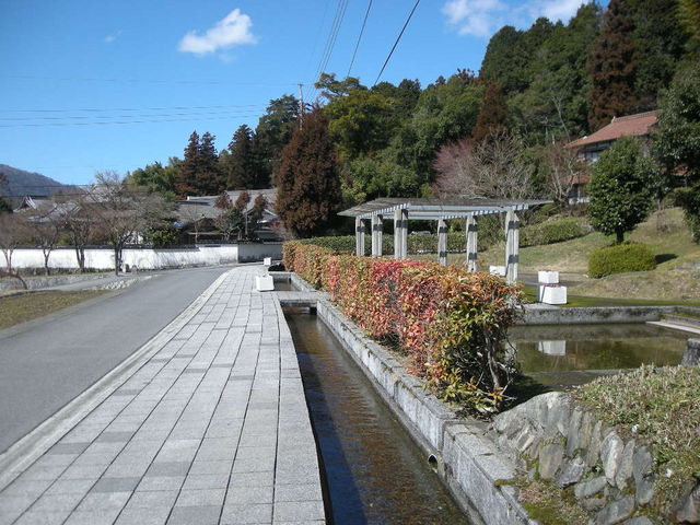 �����ʂ�