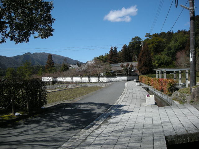 �����ʂ�